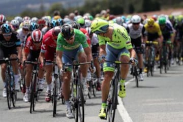 Peter Sagan rueda en la cabeza del pelotón.