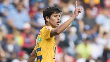 Jürgen Damm, Tigres