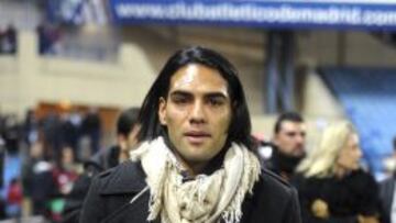 Falcao de paisano