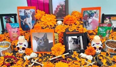 Fecha exacta para poner la ofrenda de las mascotas en Día de los Muertos 2025