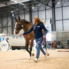 El IFEMA, un establo multimillonario por cuatro días