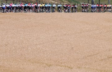 El pelotón durante la octava etapa del Tour de Francia 2019. 