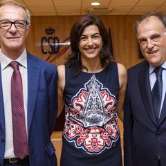 La nueva Ley del Deporte pretende impedir el patrocinio de LaLiga a las federaciones