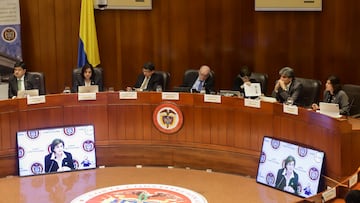 Bogotá. Abril 26 de 2024. En la Corte Costitucional se llevó a cabo la audiencia pública sobre el Acuerdo de Escazú. (Colprensa - Lina Gasca)