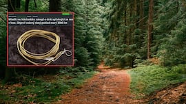 Ve un alambre que sobresale del suelo, tira de él y termina con un tesoro de 3.000 años de antigüedad