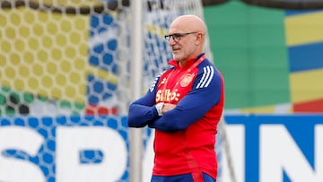 Hasta cuándo tiene contrato Luis de la Fuente con España y desde cuándo lleva en la Selección
