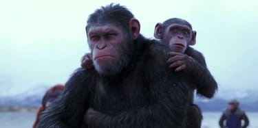 ‘El Planeta de los Simios’ en la vida real: cuarenta monos se fugan de un laboratorio en Estados Unidos