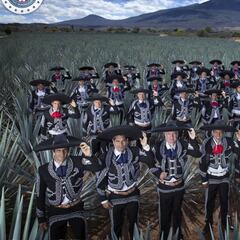 Cuando las fotos oficiales se tornan creativas y divertidas