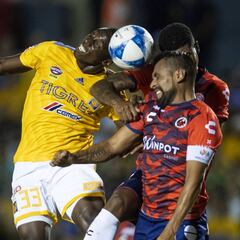 Veracruz - Tigres, cómo y dónde ver; horario y TV online