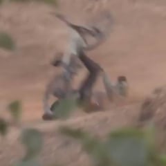 Adolf Silva publica en Instagram el vídeo de la caída en la que se rompió el fémur