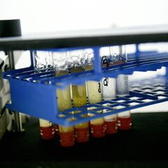 El limbo de los pasaportes biológicos