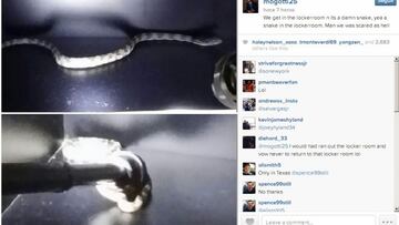 ¡Aparece una serpiente en el vestuario de los Blazers!