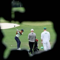 Un Tigre y seis leones