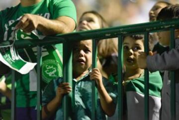 Homenaje del Pueblo Chapecoense en el estadio Arena Condá, este miércoles 30 de noviembre.