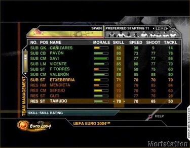 UEFA Euro 2004, Impresiones (PC)