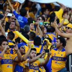 Barra de Tigres no podrá entrar al estadio de Veracruz