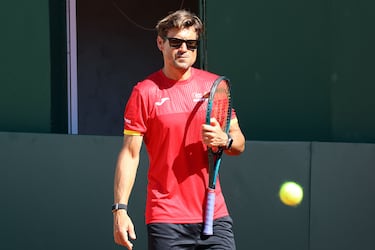David Ferrer: “Nadal y Alcaraz nos han malacostumbrado”