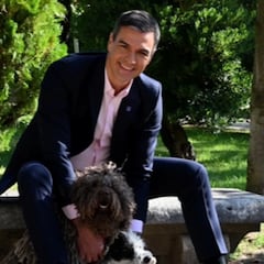 La felicitación viral del PSOE por el Día Mundial del Perro: “Más sabe el perro sanxe...”