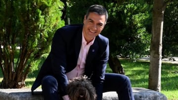 La felicitación viral del PSOE por el Día Mundial del Perro: “Más sabe el perro sanxe...”