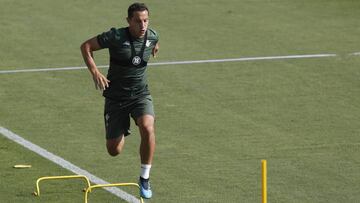 Andr&eacute;s Guardado.