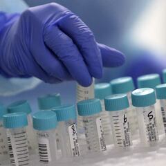 Los datos que muestran que Chile es uno de los países que mejor está vacunando