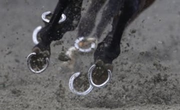 En este caso son herraduras y lucen impolutas entre el barro en una carrera celebrada en Kempton Park.