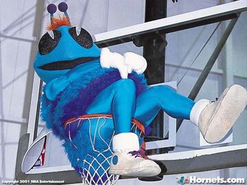 Hugo the Hornet (Charlotte Hornets)