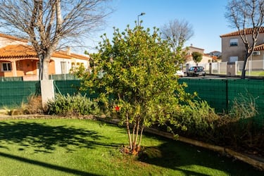 Un paisajista catalán desafía a la jardinería tradicional con su método para ‘plantar sin agua’: “Al principio se rieron de mí”