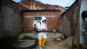 Trabajos de desinsectación para eliminar el mosquito que transmite el virus Zika