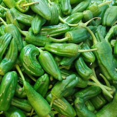 Carreteras no permitirá la venta de pimientos en la N-550 de Padrón