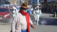 Pase vehicular y laboral en Perú: ¿22 o 30 de junio, hasta cuándo duran?