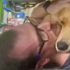 El adorable golden retriever que no puede parar de abrazar a su dueño mientras arregla coches en el taller
