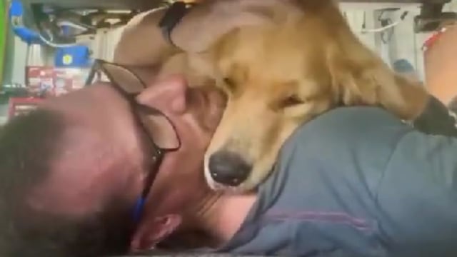 To celebrate National Golden Retriever Day, we look back at this dog’s viral display of affection that proves why the breed is the cuddliest of them all.