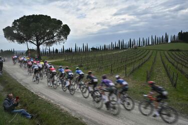 El pelotón durante la carrera.