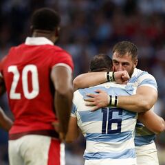 Gales 17-29 Los Pumas: resumen y resultado