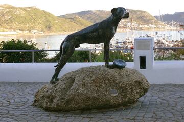 Just Nuisance nació en 1936 y vivió en Sudáfrica toda su vida. En el pueblo marino de Simon´s Town, cerca de Ciudad del Cabo, es una auténtica leyenda. Este Gran Danés, recalcando Gran porque destacaba al tener un tamaño mayor que la media de esta raza canina. Se hizo muy querido por los soldados de la Armada, pues Just Nuisance tenía un gran sentido de la orientación y cuando encontraba marineros ebrios, los sabía llevar de vuelta al cuartel. Tan grande era su sentido de la orientación que los marineros cuando se iban a pueblos cercanos a divertirse por la noche, se lo llevaban y Just Nuisance era capaz de guiarles al tren de vuelta correcto. Su carácter afable y muy sociable le hizo ganarse el cariño de toda la marina y fue nombrado marinero y le correspondía una ración como al resto. Si algún marinero entraba en pelea, Just Nuisance era capaz de detener la pelea. Llegó a ser tan popular que le cruzaron con otra hembra de su raza y subastaron 2 cachorros de la camada para sufragar gastos de la II Guerra Mundial. Falleció en 1944 cuando tras un accidente automovilístico sufrió una trombosis que le paralizó una parte de su cuerpo y el veterinario de la Royal Navy recomendó que le pusieran a dormir. 