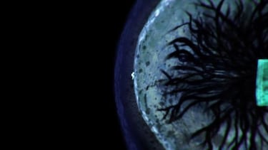 Razones para jugar To Leave