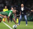 Pedraza: "El Betis es favorito
para el derbi sin ninguna duda"