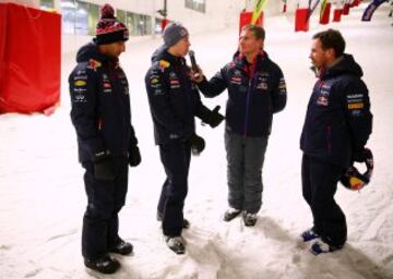 Daniel Ricciardo, Christian Horner, Daniil Kvyat y David Coulthard 