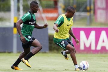 Nacional y Once Caldas juegan el lunes en el Palogrande Manizales, por la fecha 15 de la Liga Águila II-2017.