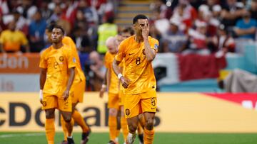 Soccer Football - FIFA World Cup Qatar 2022 - Group A - Netherlands v Qatar - Al Bayt Stadium, Al Khor, Qatar - November 29, 2022 Netherlands' Cody Gakpo celebrates scoring their first goal REUTERS/John Sibley