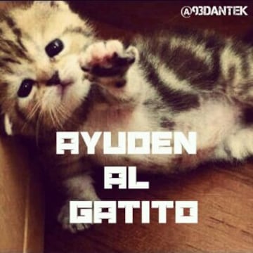 Los mejores memes de la goleada del Guadalajara