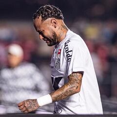 “Neymar rendía en Barcelona por esos jugadores, hacer que rinda en Santos es un desafío”
