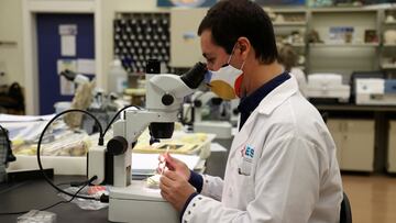 Aspetar potencia los esfuerzos cataríes en organizar el Mundial de 2022 pese a la pandemia