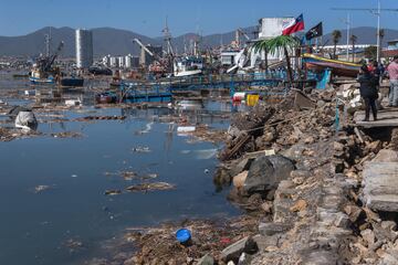 El terremoto de Illapel de 2015 fue un sismo que alcanzó una magnitud de 8.4 Mw y que tuvo lugar en la región de Coquimbo. Fue percibido desde la Región de Atacama por el norte hasta la Región de Araucanía por el sur y también en algunas zonas de otros países como Argentina, Uruguay, Brasil y Paraguay.