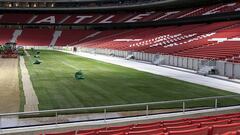 Así va la colocación del césped en el Wanda Metropolitano
