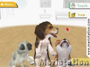 Captura de pantalla - nintendogs_08.jpg