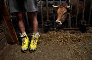 El ganadero Pablo Pato posa junto a una de sus vacas y sus patines amarillos en su establo en Llanuces, Asturias.