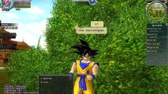 Captura de pantalla - dragon_ball_online_157.jpg