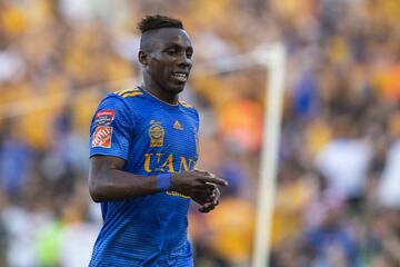 El delantero de Tigres sigue en su rehabilitación después de la lesión de ligamento cruzado que sufrió el torneo anterior. Se espera que en el Clausura 2020 regrese a las canchas en marzo.